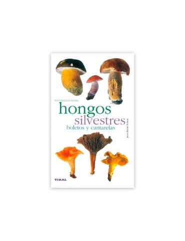 Boletos y cantarelas. Naturaleza y flora JEAN-MARIE POLESE