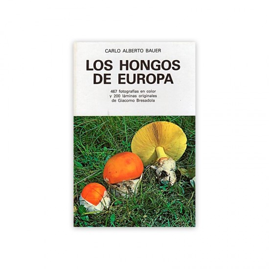 THE FUNGI OF EUROPE, Bauer