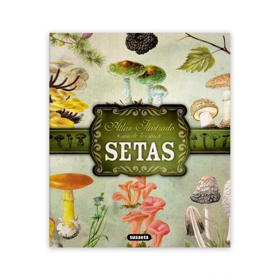 Atlas ilustrado de las Setas