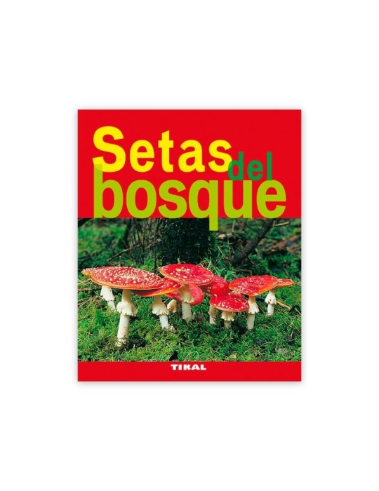 Setas del bosque Setas del bosque