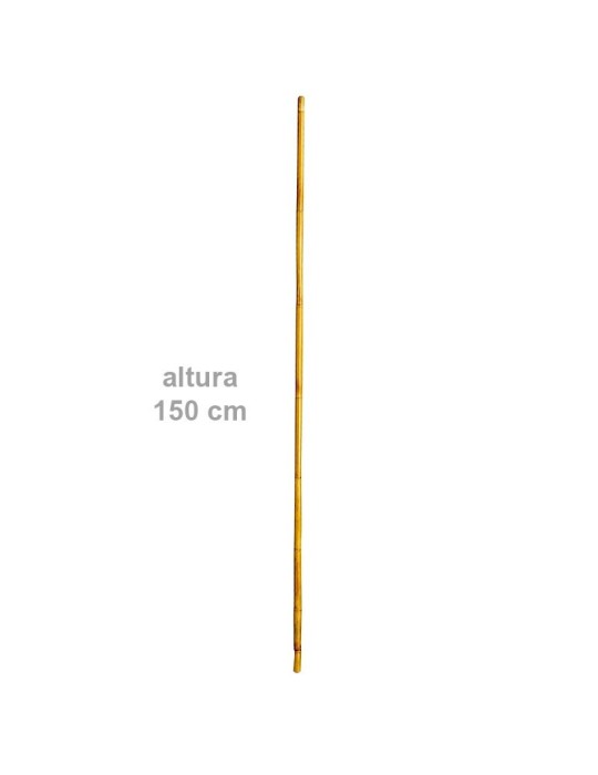 Cattlemans rod of reed