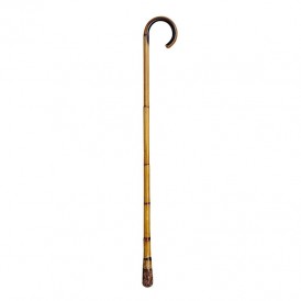 Cane reed baton