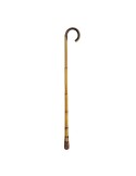 Cane reed baton