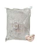 Micelio Agaricus bisporus 30 l
