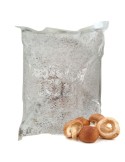 Mycélium de Shitake 30 l