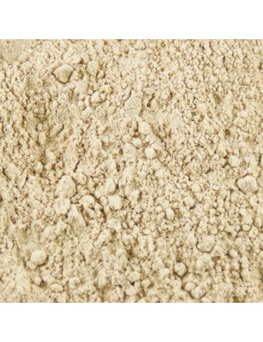 Farine de champignons 2