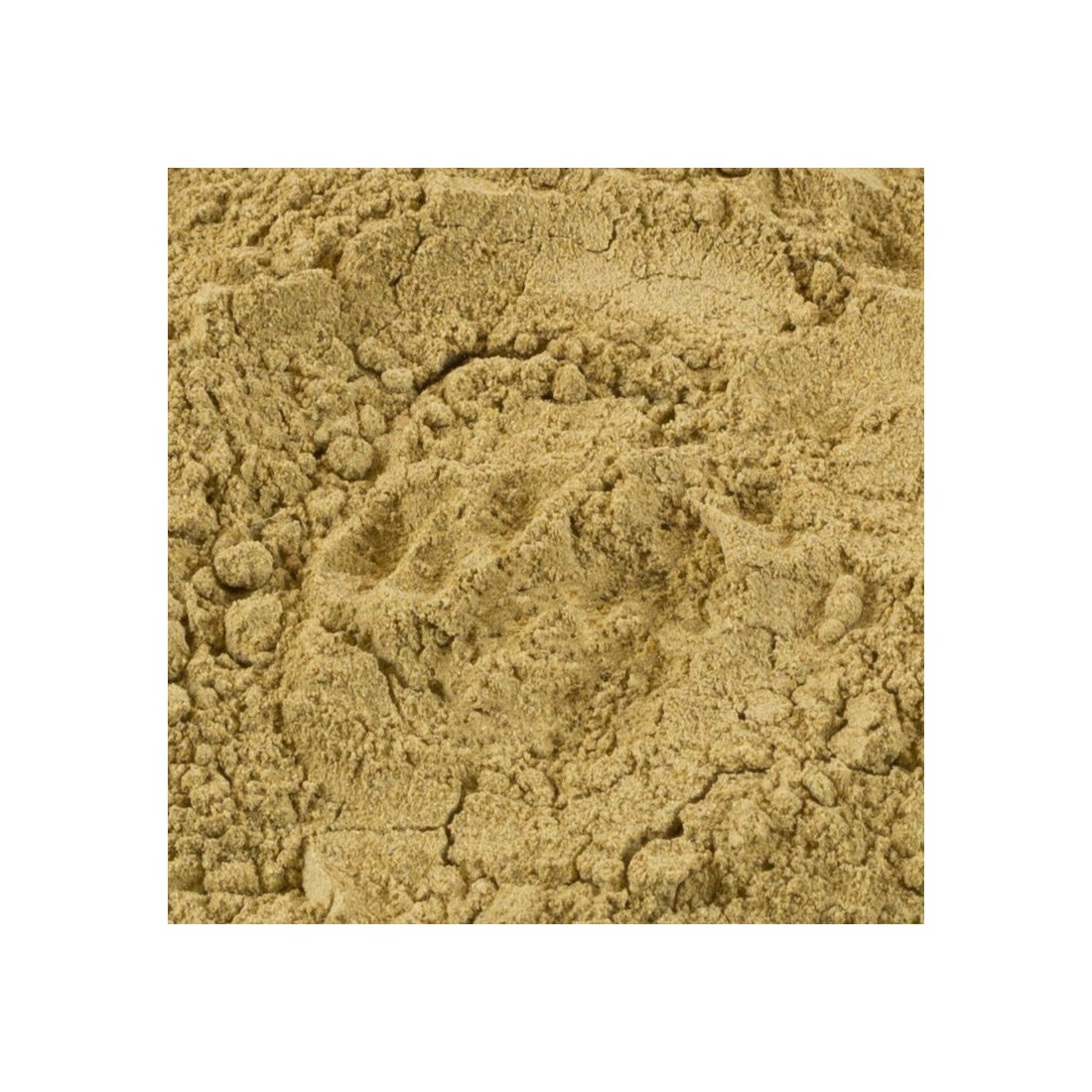 Wild mushroom mix flour