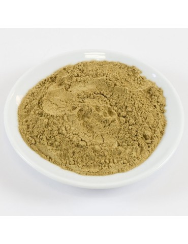 Farinha de Cogumelos Selvagens - Sabor Intenso e Natural 2