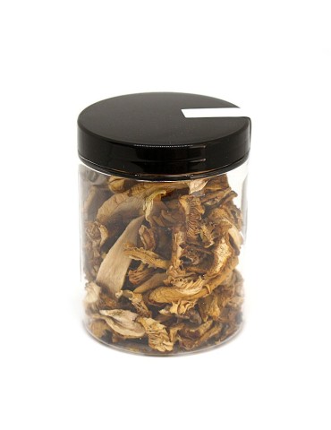 Amanita caesarea deshidratada 2