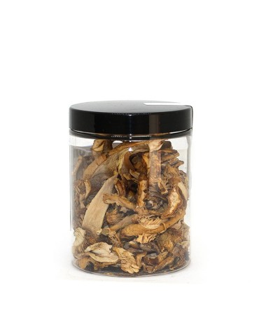 Mélange de champignons secs 2