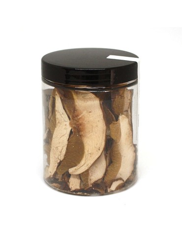 Dehydrated boletus 2
