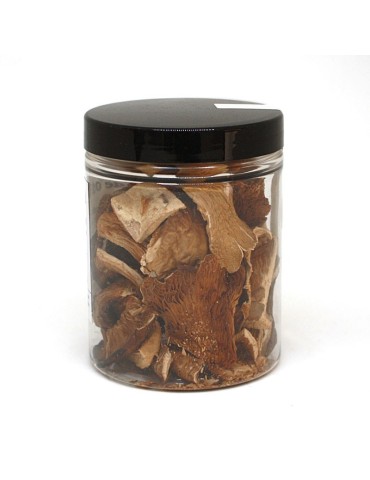 Dehydrated oyster mushroom 2