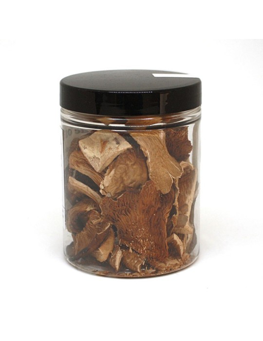 Dehydrated oyster mushroom