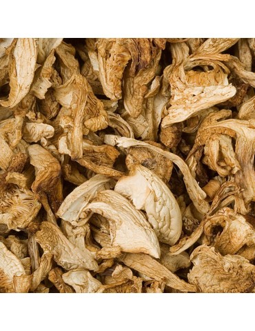 Perrechico deshidratado 2