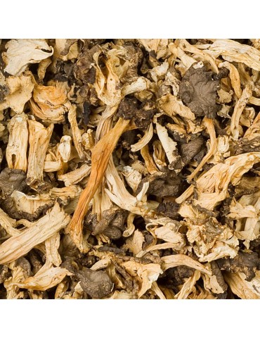 Trompette jaune déshydratée 2