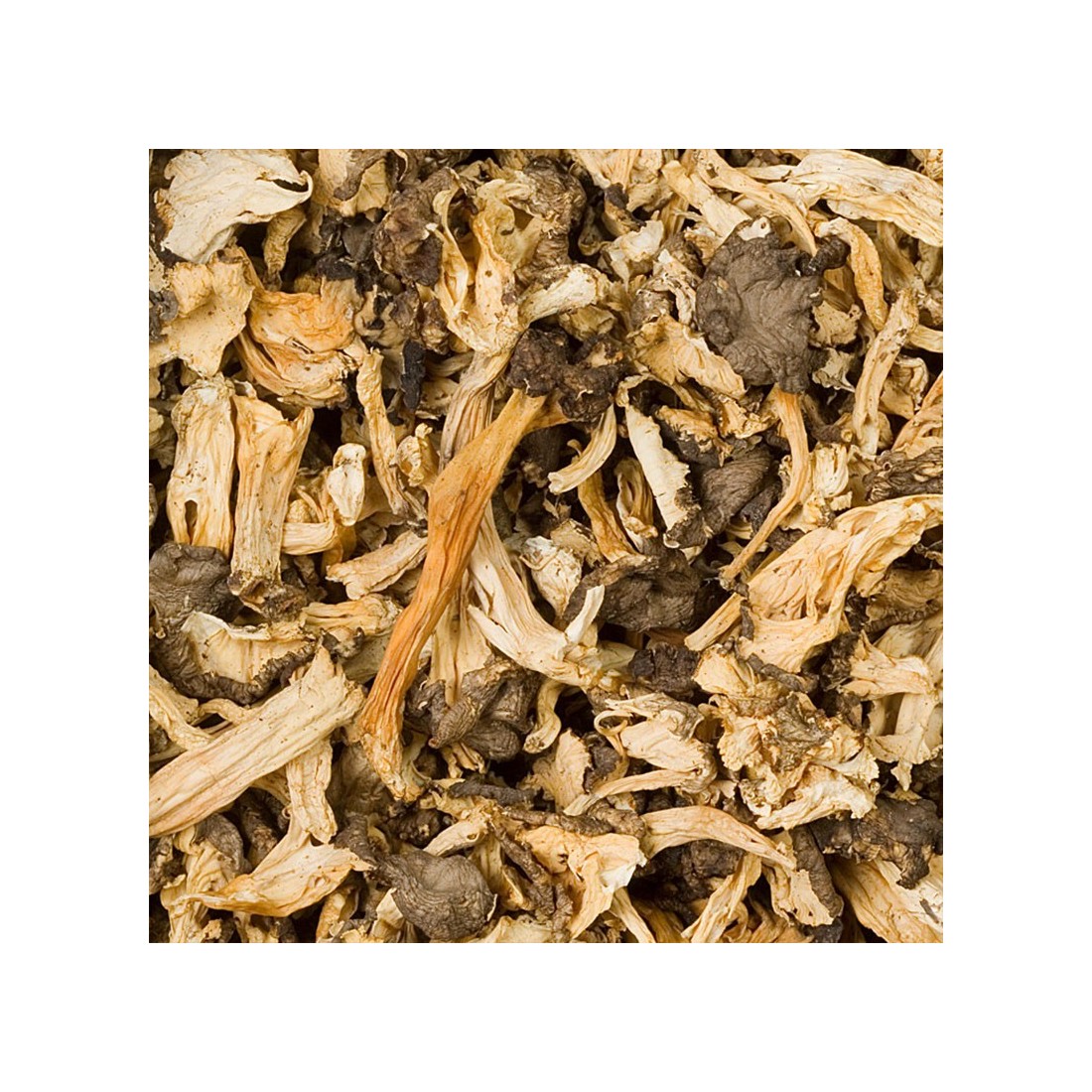 Dehydrated yellow trumpet