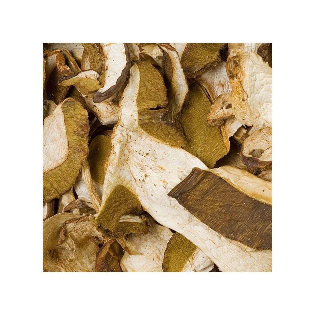 Boletus deshidratado