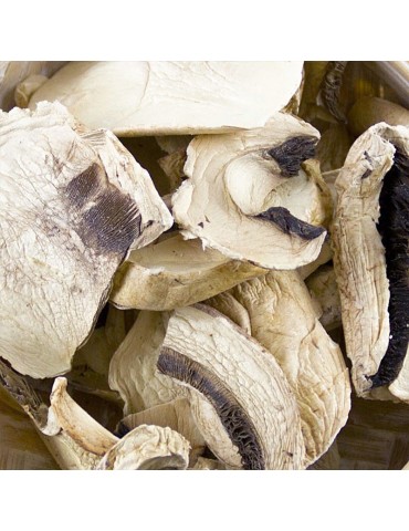 Dehydrated mushroom 2