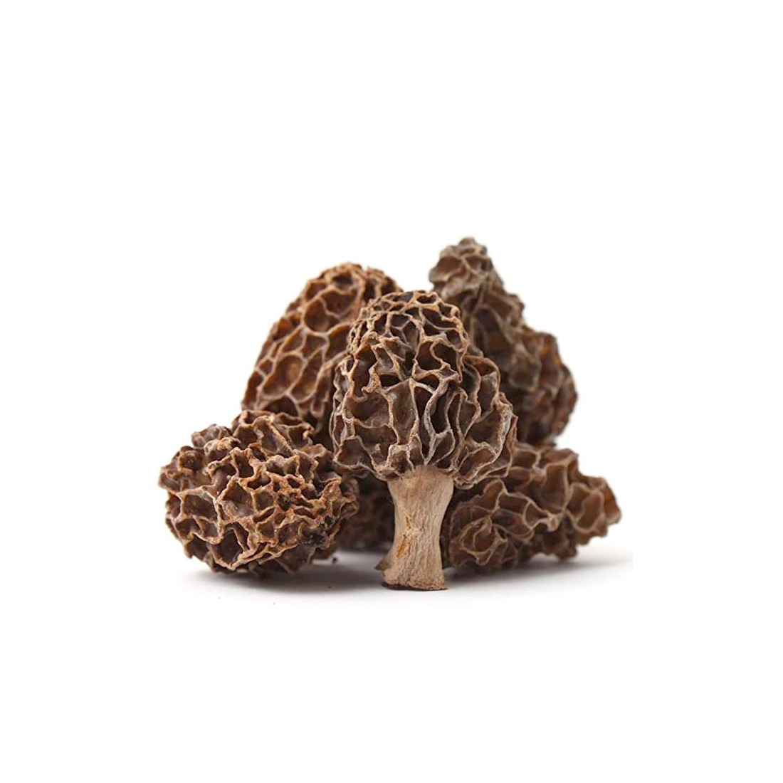 Morel mushroom flour