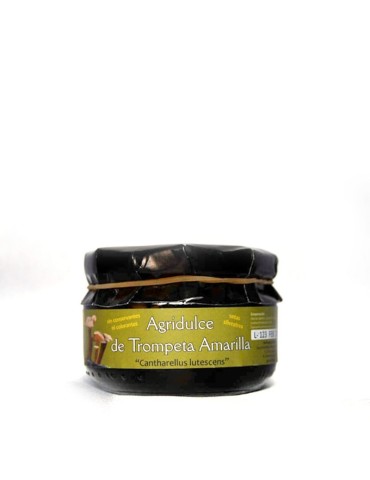 Trompette jaune aigre-doux 2