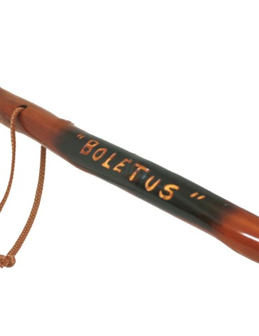Personalized mountain cane