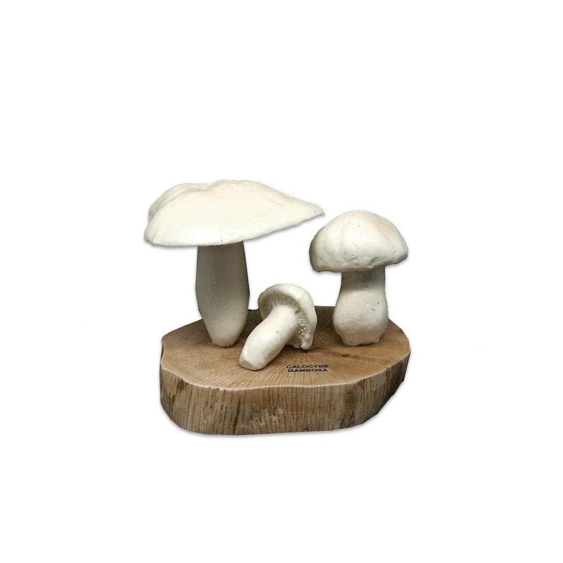 Replica of Perrechico, C. gambosa