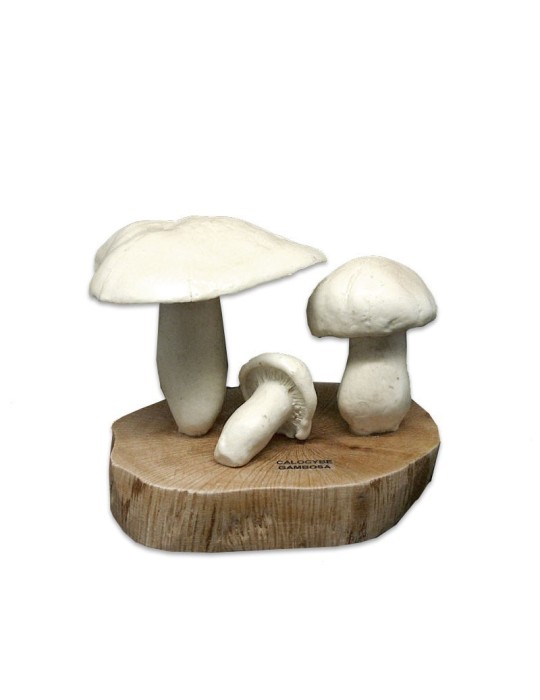 Réplique de Perrechico, C. gambosa Réplique de Perrechico, C. gambosa