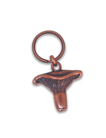 Metal keychain Níscalo 2