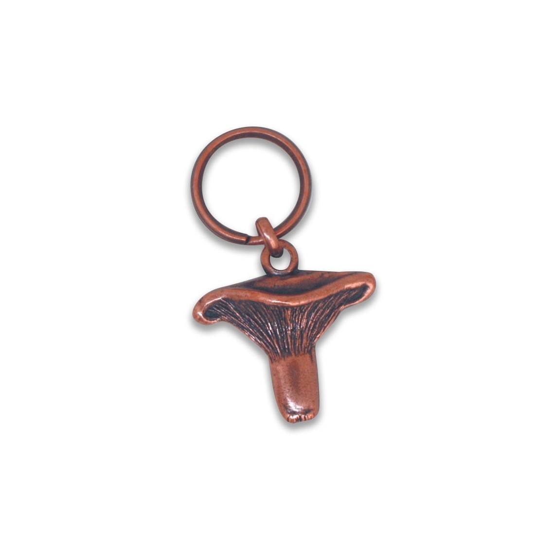 Metal keychain Níscalo