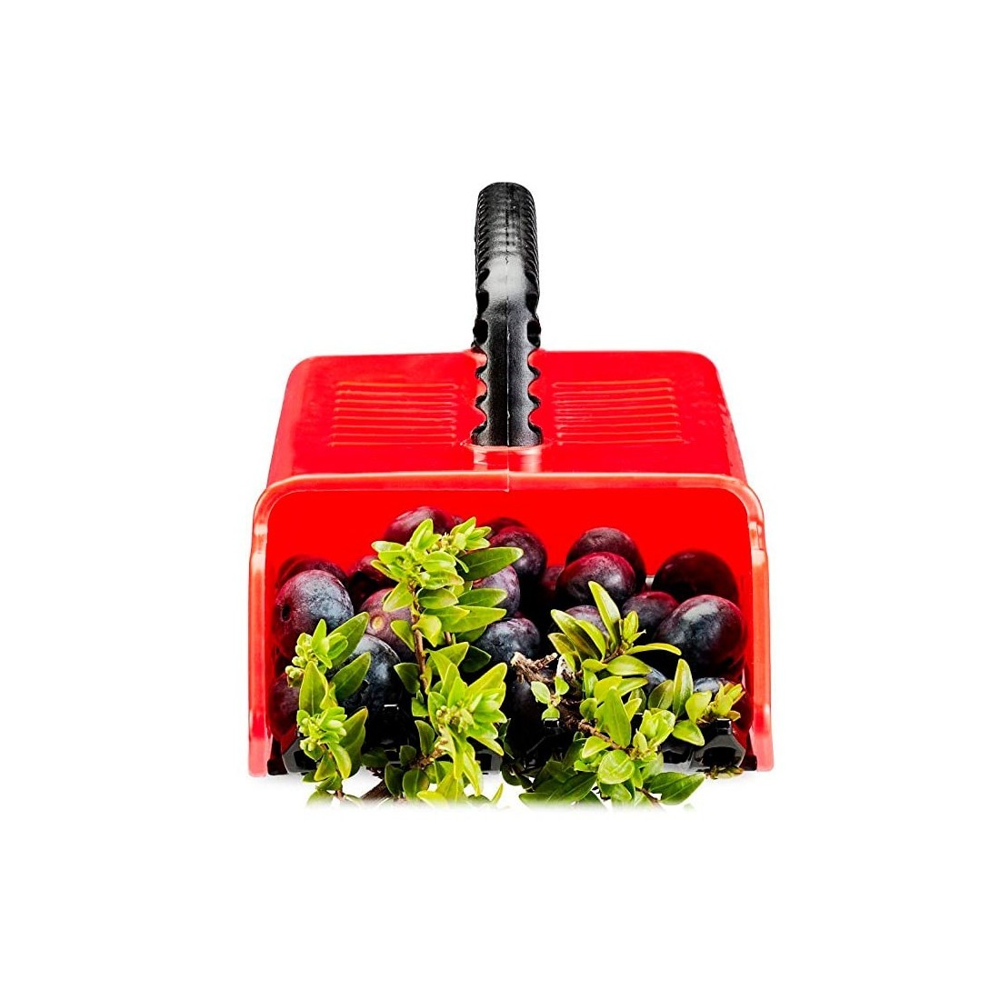 Recolector de frutos silvestres de plástico