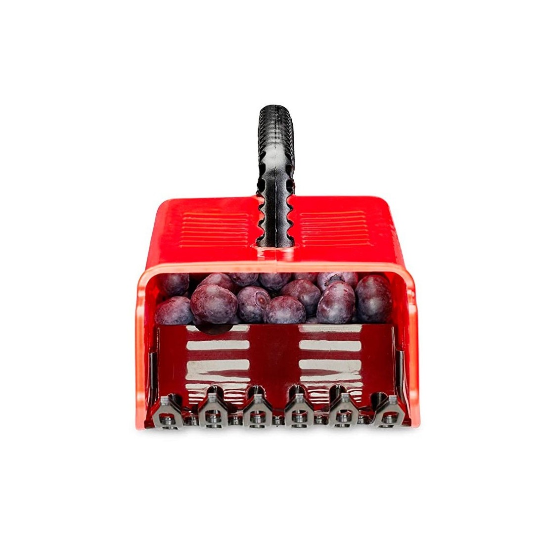 Recolector de frutos silvestres de plástico