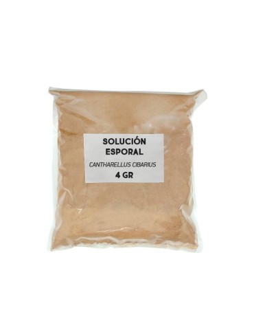 Sporal support solution - Rebozuelo 2