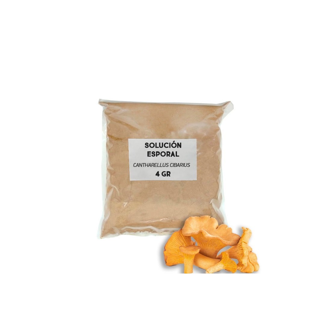 Solución esporal de apoyo - Rebozuelo Solución esporal de apoyo - Rebozuelo