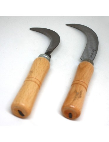 Vendange Corvillo 120x15 Fleurs Cortes 2