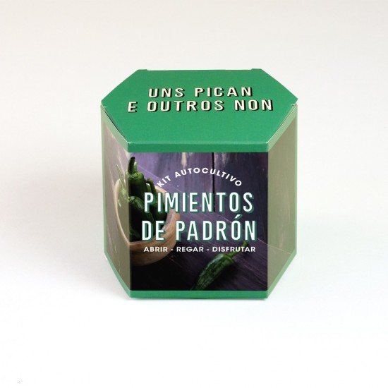 Culture en kit du poivre de Padron