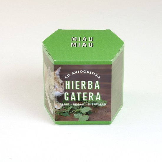 Kit Cultivo Hierba gatera