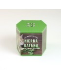Kit Cultivo Hierba gatera