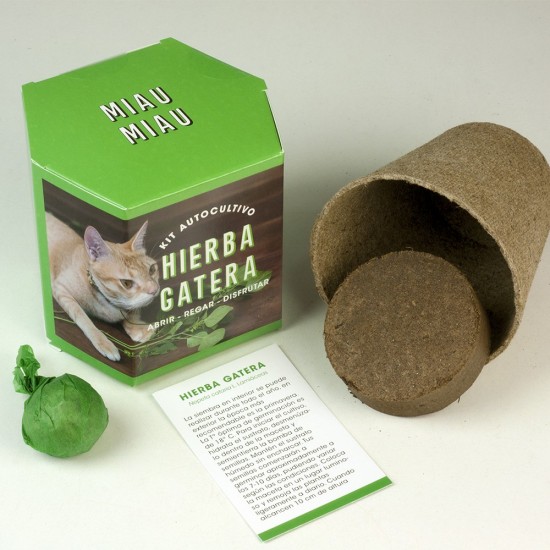 Kit de culture de l'herbe à chat