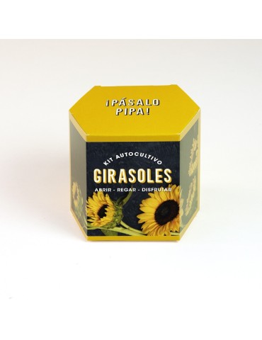 Sunflower Growing Kit