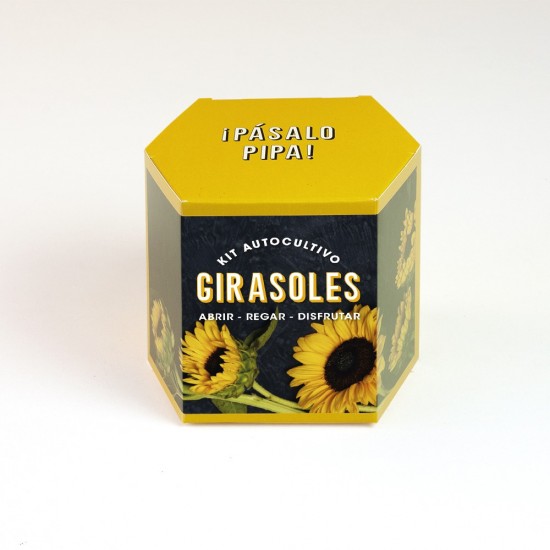 Kit Cultivo Girasoles