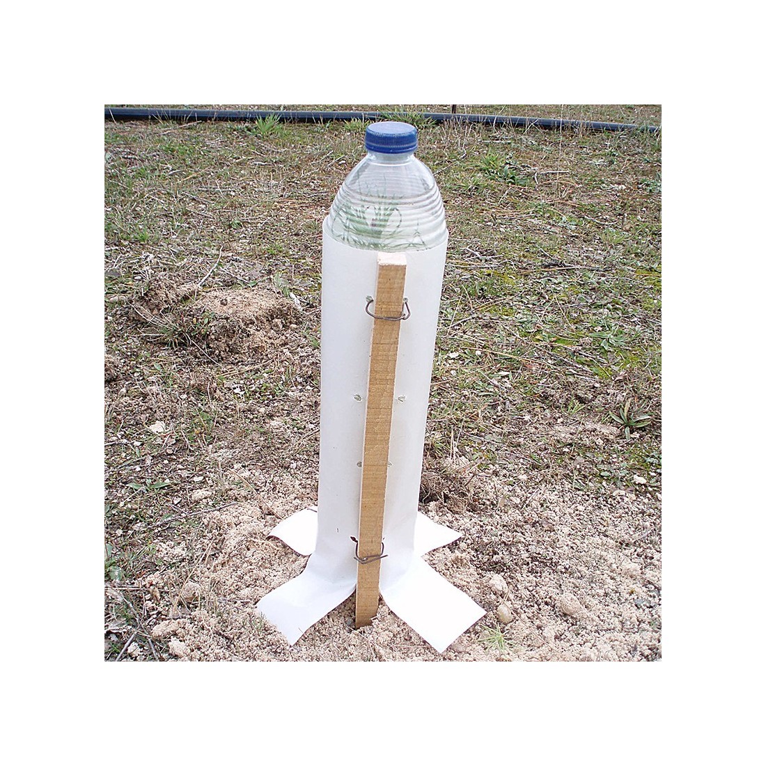 Protector for seedlings with tutor