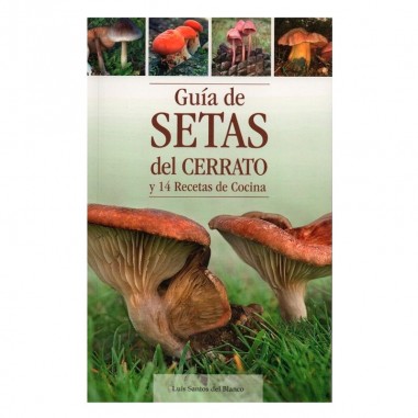 Guide to Cerrato mushrooms and 14 cooking recipes