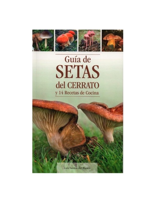 Guía de setas del Cerrato y 14 recetas de cocina L. SANTOS DEL BLANCO Guía de setas del Cerrato y 14 recetas de cocina L. SANTOS DEL BLANCO