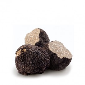 Fresh summer truffle, T. aestivum