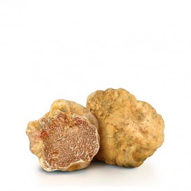 Fresh Italian white truffle, T. magnatum