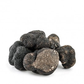 Fresh black truffle, T. melanosporum