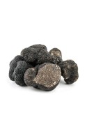 Truffe noire fraîche, T. melanosporum