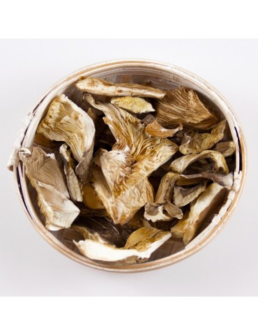 Pleurote en huître déshydraté en vrac 2