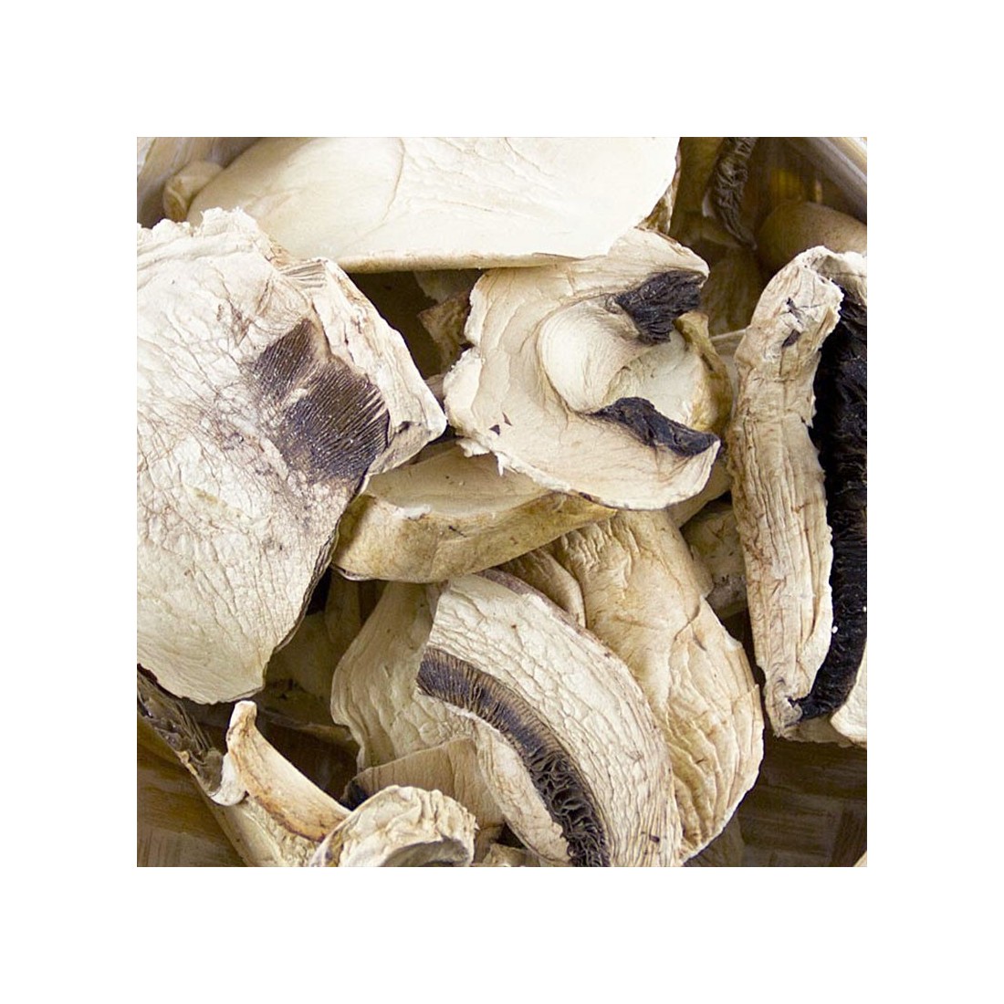 Champiñón deshidratado granel