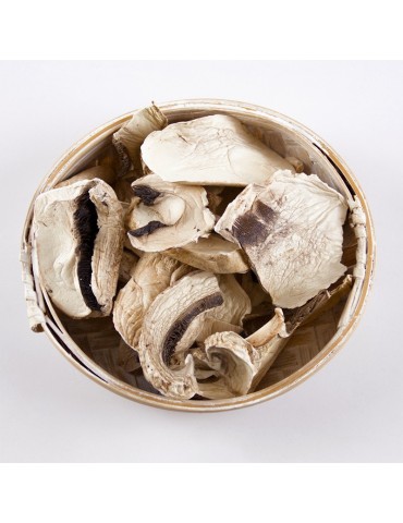 Champiñón deshidratado granel 2